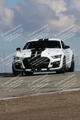 media/Mar-31-2024-Speed Ventures (Sun) [[a3b2bf813d]]/Purple/Session 2 (Grapevine)/